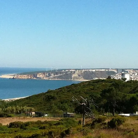 Avo Bolachas 10 نازاريه