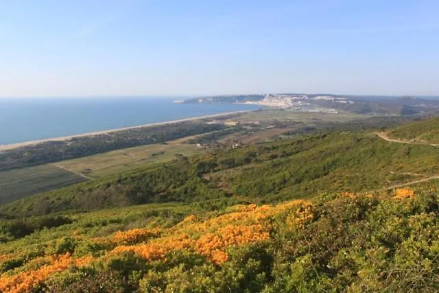 Avo Bolachas 10 Habitación en casa particular