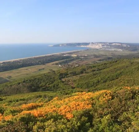 Avo Bolachas 10 Homestay