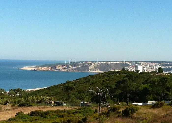 Avo Bolachas 10 Nazaré